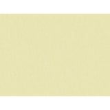 Brunschwig & Fils SHOTS PARCHMENT Drapery Fabric
