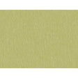 Brunschwig & Fils SHOTS THYME Drapery Fabric