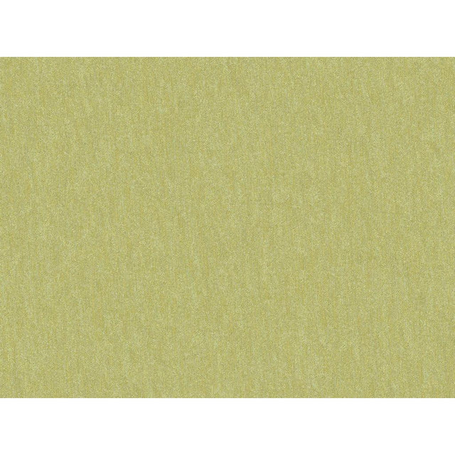 Brunschwig & Fils SHOTS THYME Drapery Fabric