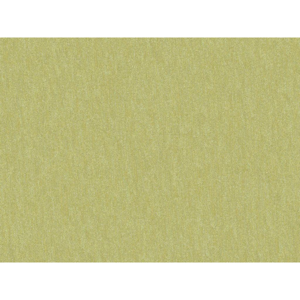 Brunschwig & Fils SHOTS THYME Drapery Fabric