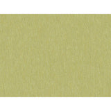Brunschwig & Fils SHOTS THYME Drapery Fabric