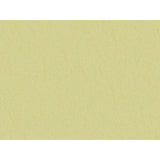 Brunschwig & Fils SHOTS SPANISH MOSS Drapery Fabric