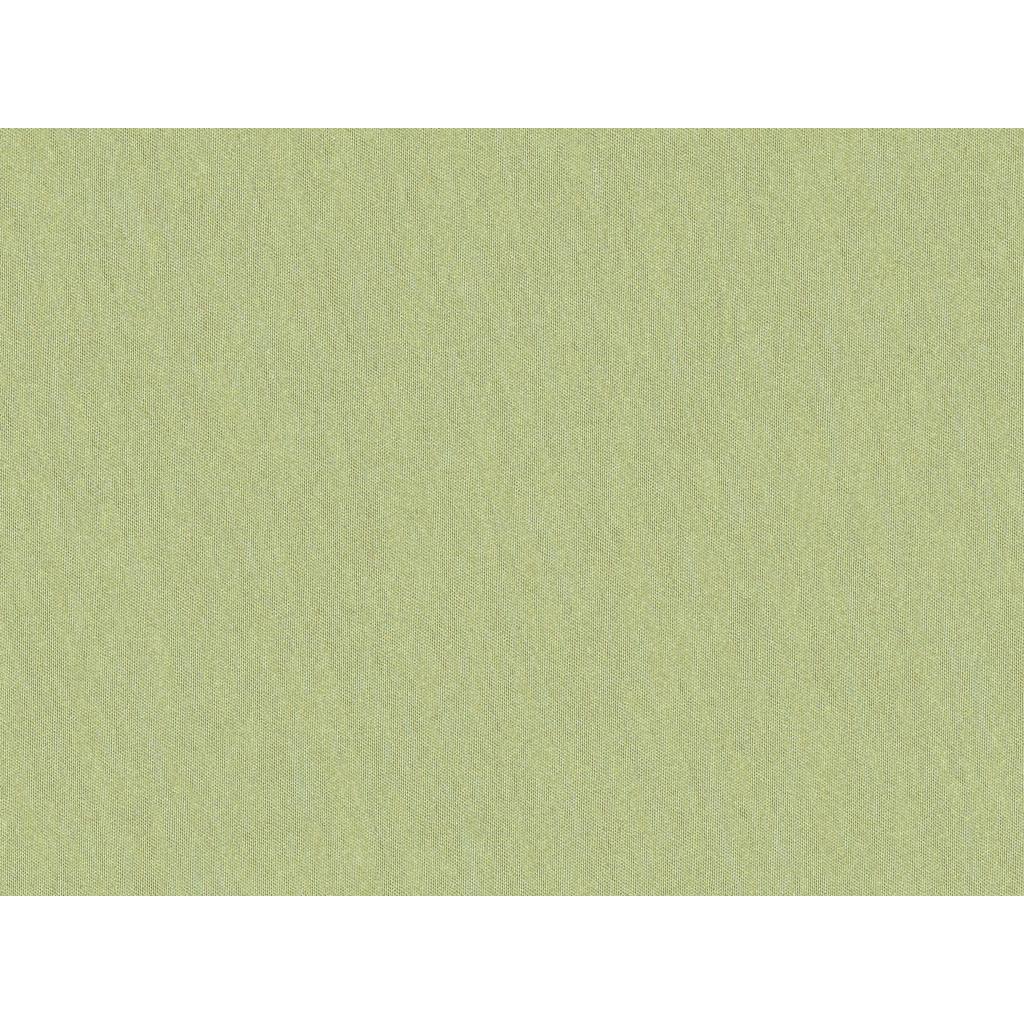 Brunschwig & Fils SHOTS MARJORAM Drapery Fabric