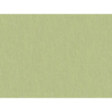 Brunschwig & Fils SHOTS MARJORAM Drapery Fabric