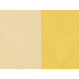 Brunschwig & Fils PETERSBURG STP LEMONICE Drapery Fabric