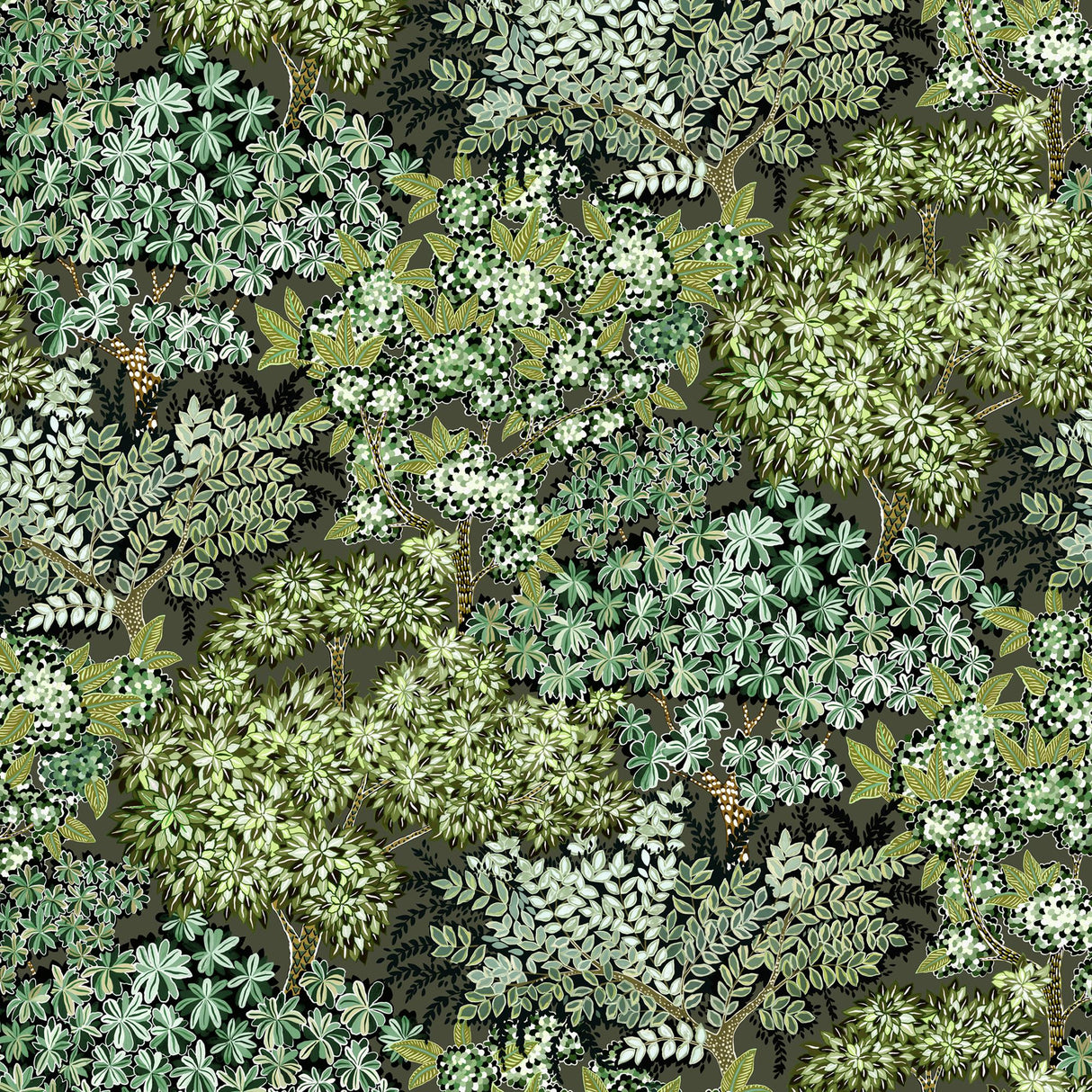 Kravet BROCCOLI CANPOY 11 Wallpaper