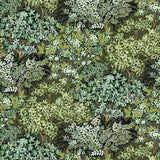 Kravet BROCCOLI CANPOY 11 Wallpaper