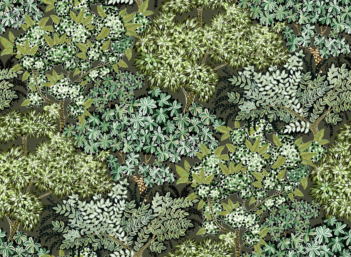 Kravet BROCCOLI CANPOY 11 Wallpaper