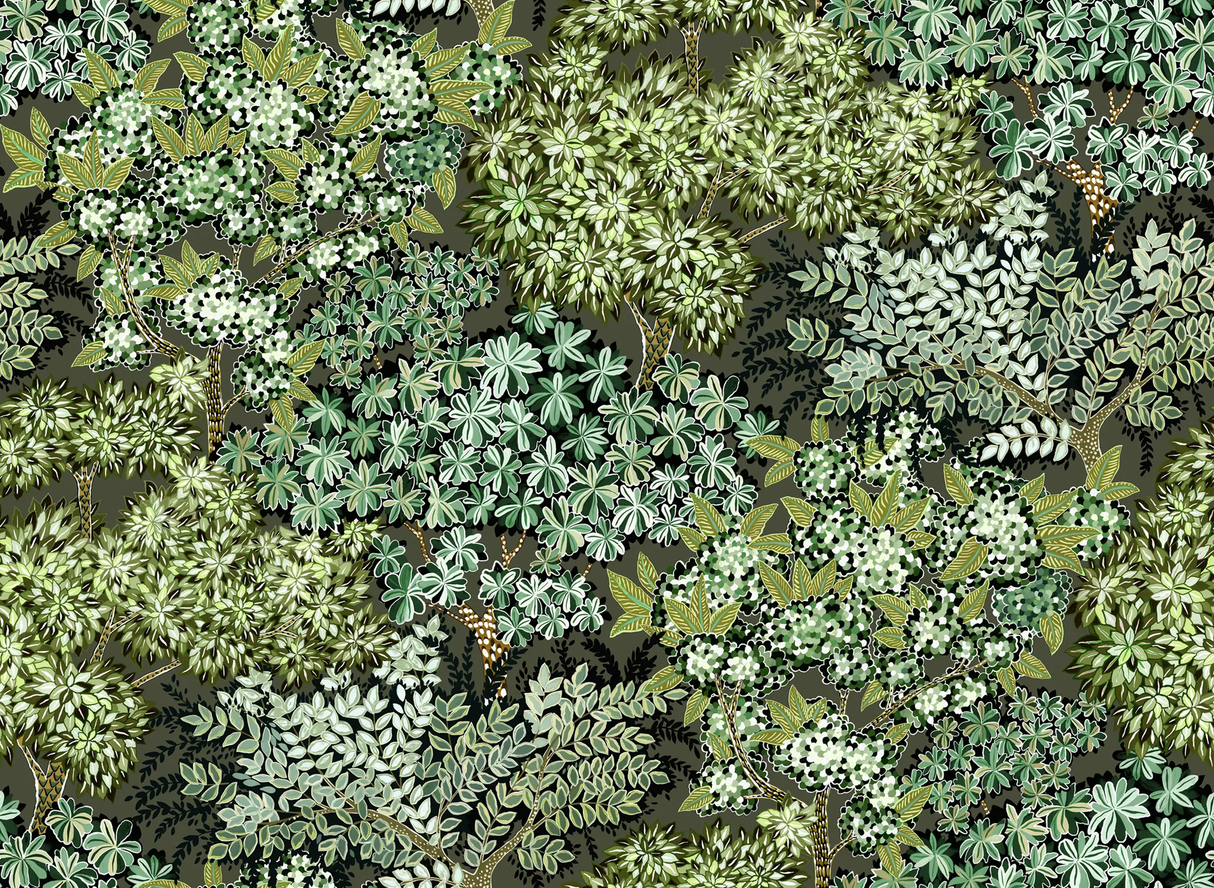 Kravet BROCCOLI CANPOY 11 Wallpaper