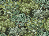 Kravet BROCCOLI CANPOY 11 Wallpaper