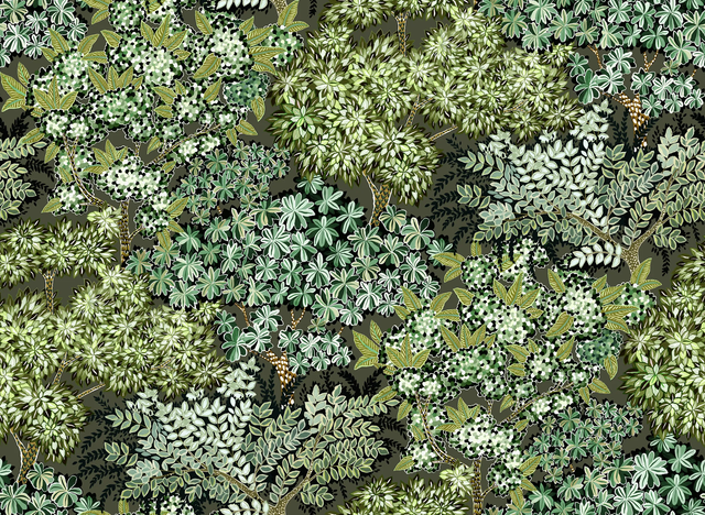 Kravet BROCCOLI CANPOY 11 Wallpaper