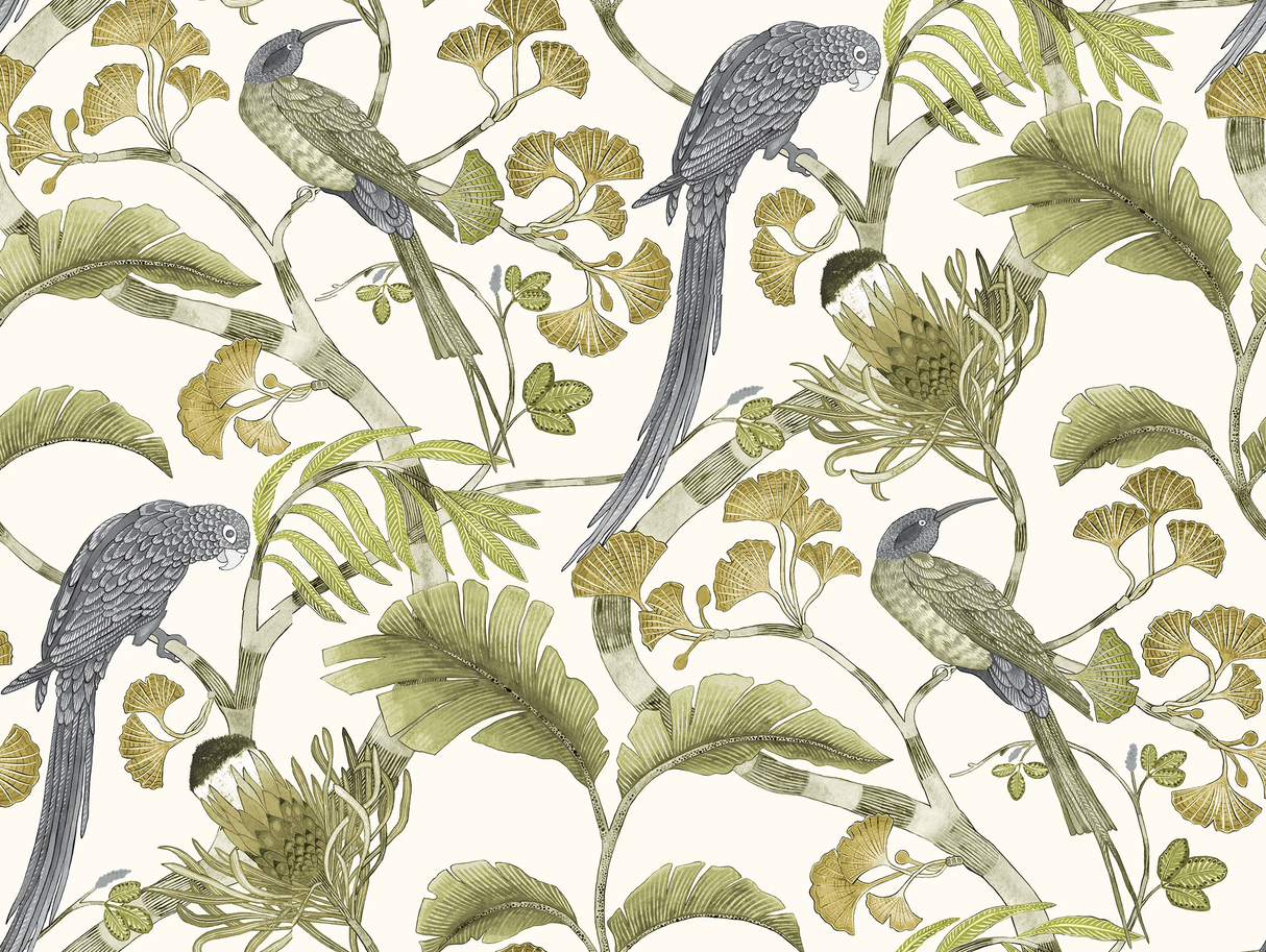 Kravet LIVING BRANCHES 31 Wallpaper