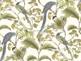Kravet LIVING BRANCHES 31 Wallpaper