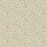 Kravet FROND OGEE 21 Wallpaper