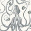 Kravet OCTOPODA GRAND 31 Wallpaper
