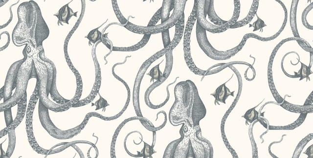Kravet OCTOPODA GRAND 31 Wallpaper