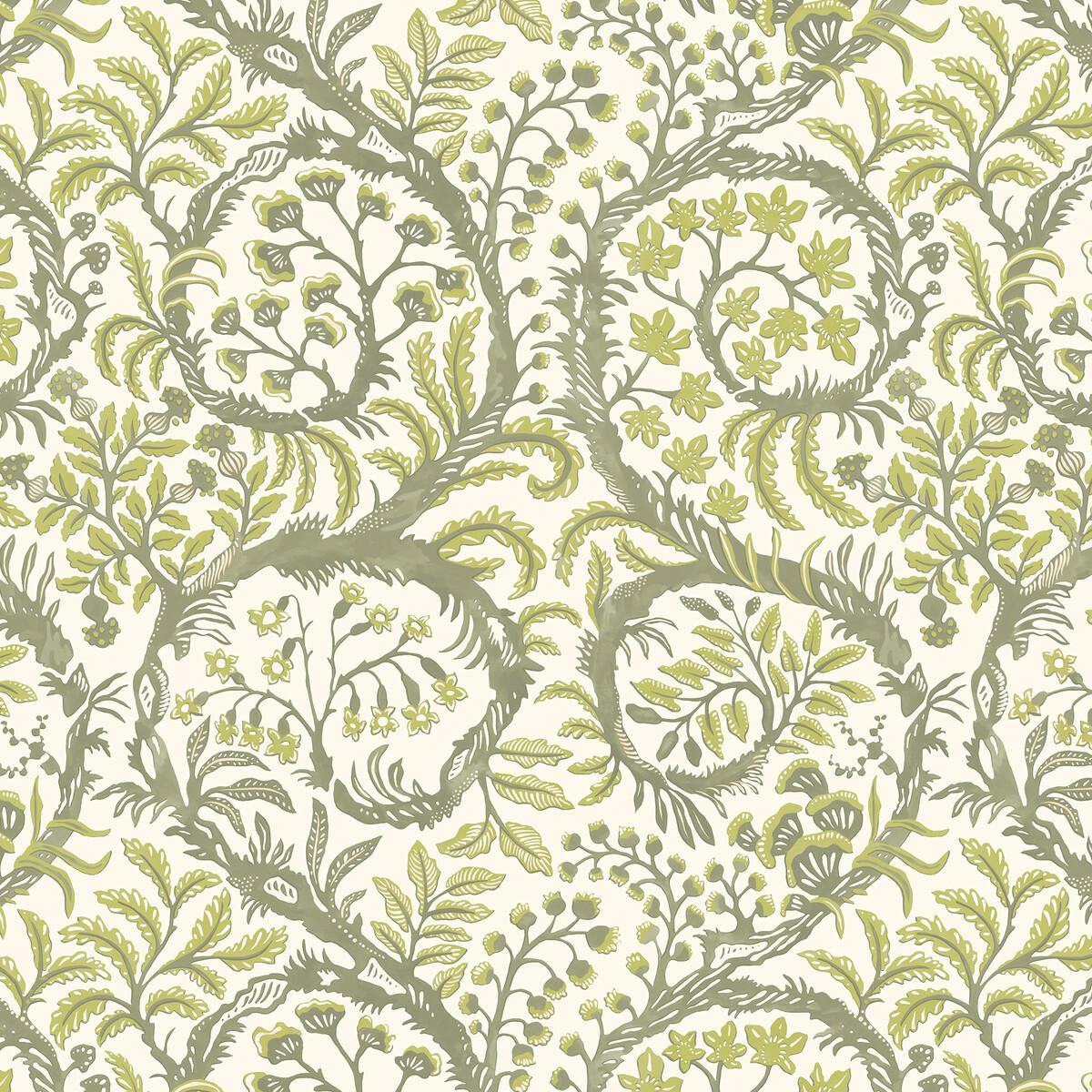 Kravet BUTTERROW 21 Wallpaper
