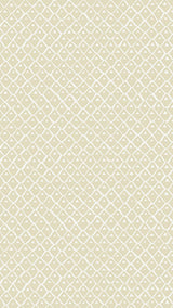 Kravet PINEAPPLE SQUARES 02 Wallpaper