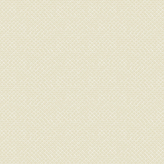 Kravet PINEAPPLE SQUARES 02 Wallpaper
