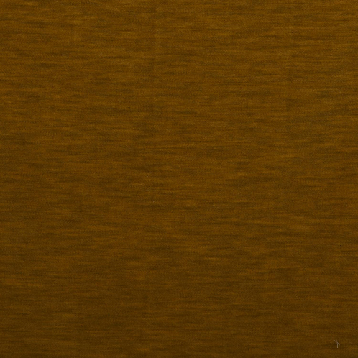 Gaston Y Daniela MERES MOSTAZA Upholstery Fabric