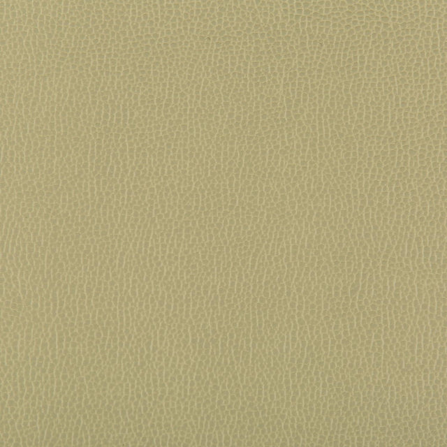 Kravet LENOX SAGE Upholstery Fabric