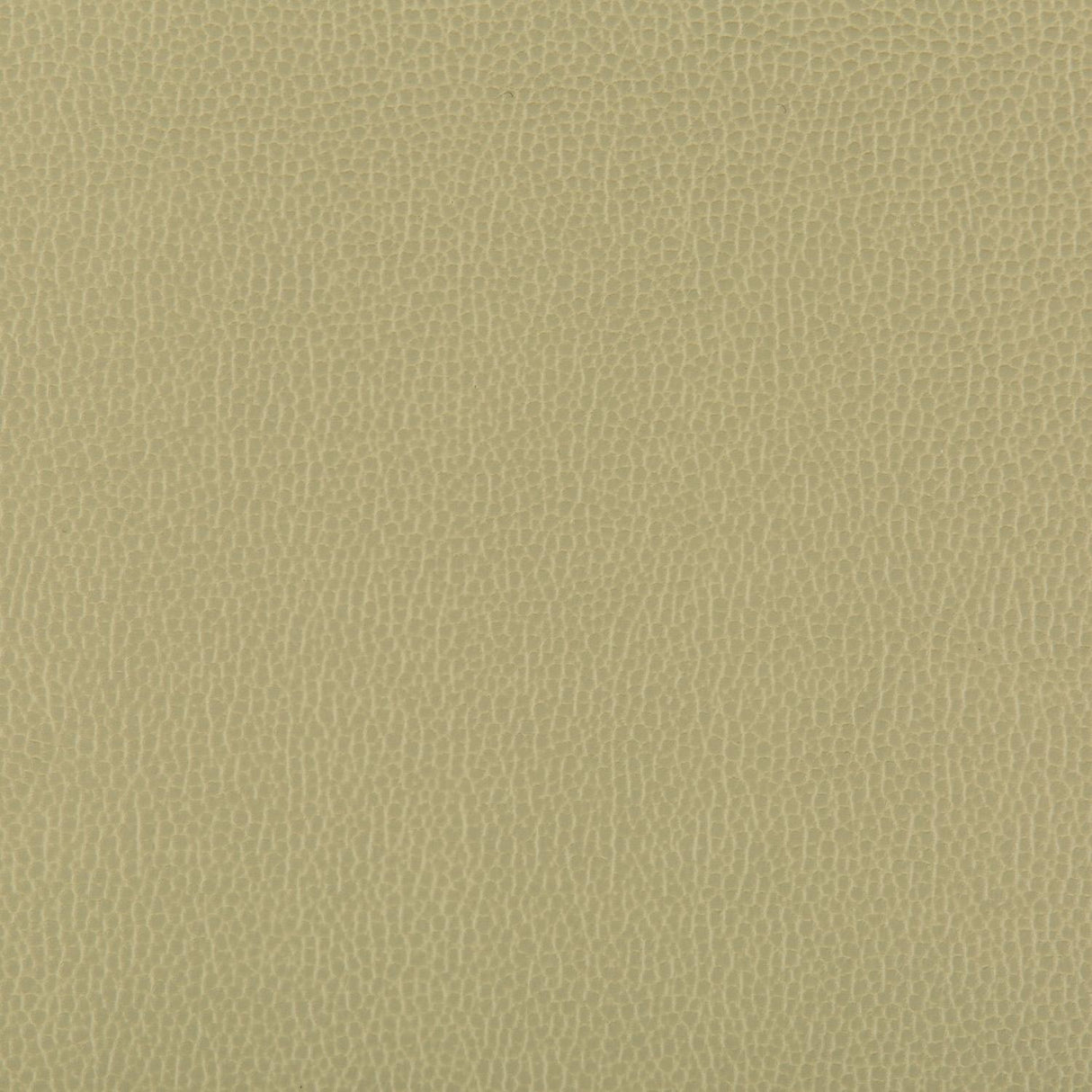 Kravet LENOX SAGE Upholstery Fabric