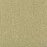 Kravet LENOX SAGE Upholstery Fabric