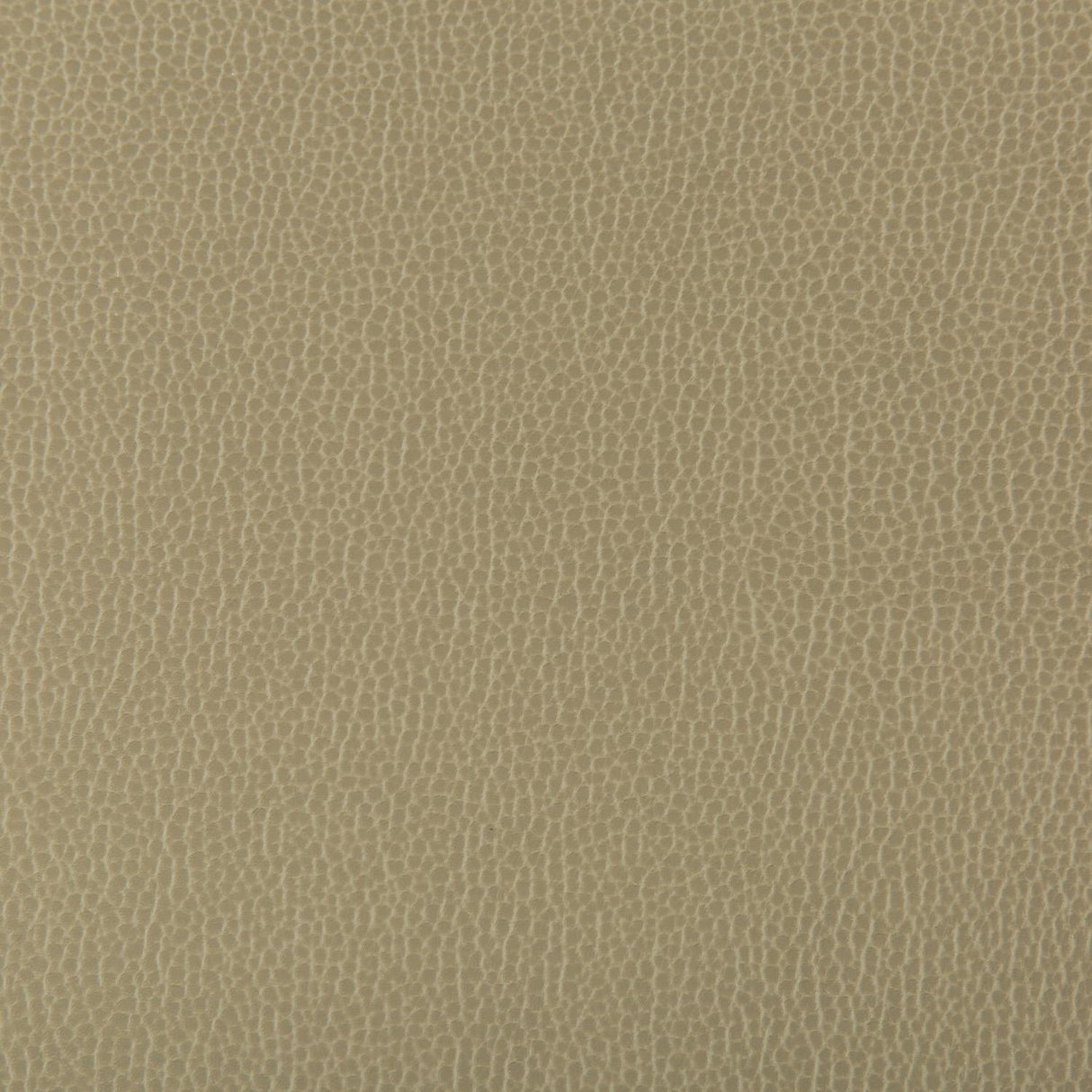 Kravet LENOX ELM Upholstery Fabric