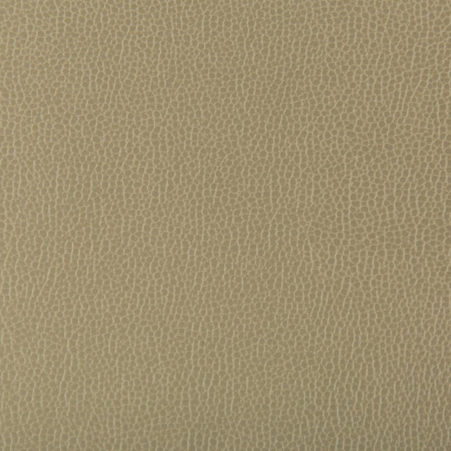 Kravet LENOX ELM Upholstery Fabric