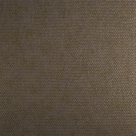 Lizzo CESTO 21540 Wallpaper