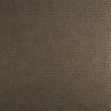 Lizzo CESTO 21540 Wallpaper