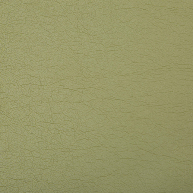 Kravet OPTIMA GREEN TEA Upholstery Fabric