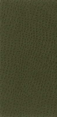 Kravet BASICS NUOSTRICH 30 Upholstery Fabric
