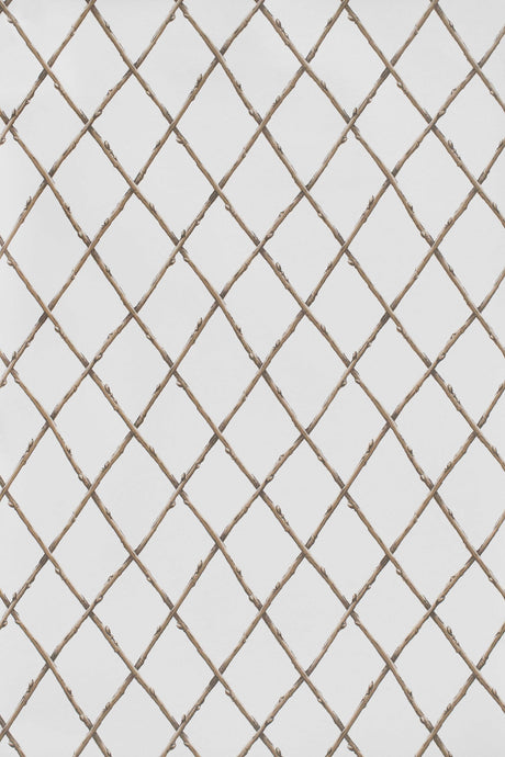 Lee Jofa BARE TWIG TRELLIS WP BROWN Wallpaper