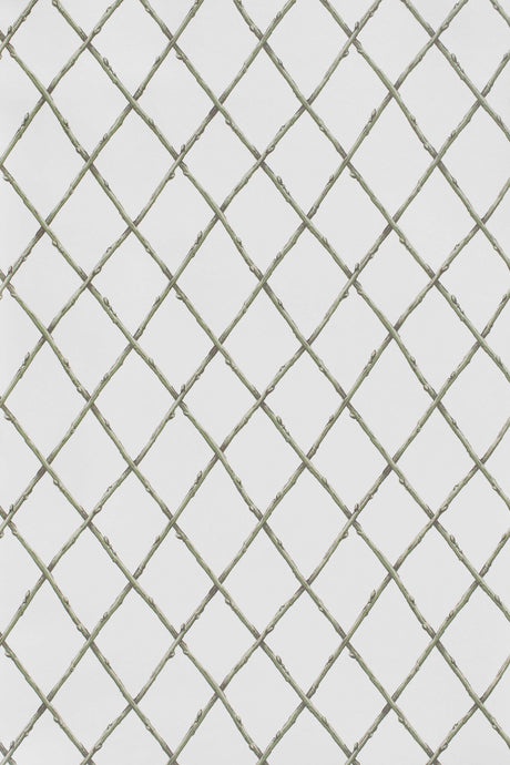 Lee Jofa BARE TWIG TRELLIS WP GREEN Wallpaper