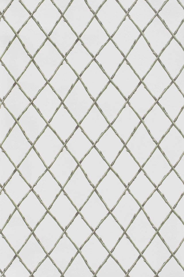 Lee Jofa BARE TWIG TRELLIS WP GREEN Wallpaper