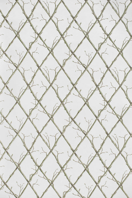 Lee Jofa TWIG TRELLIS WP GREEN Wallpaper
