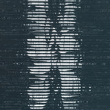 Brunschwig & Fils LES PLUMES NAVY Wallpaper