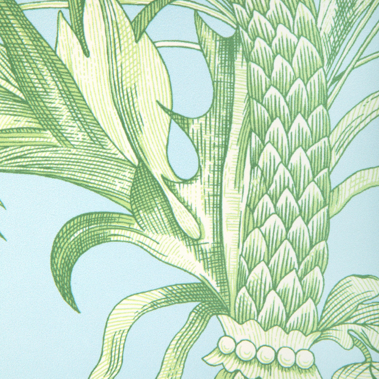 Brunschwig & Fils BIRD AND THISTLE II SKY Wallpaper