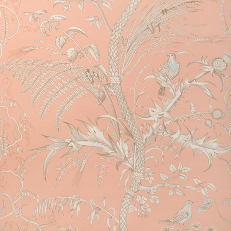 Brunschwig & Fils BIRD AND THISTLE II PEACH Wallpaper