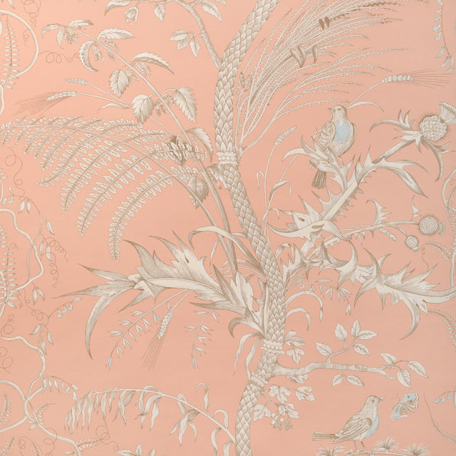 Brunschwig & Fils BIRD AND THISTLE II PEACH Wallpaper