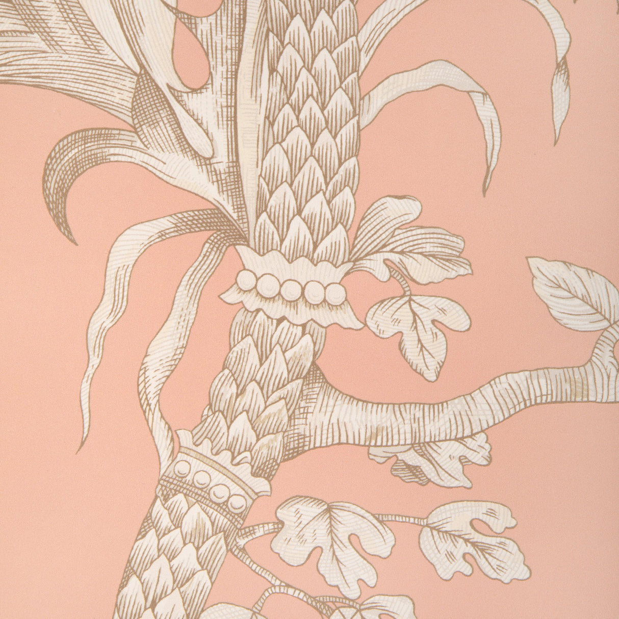 Brunschwig & Fils BIRD AND THISTLE II PEACH Wallpaper