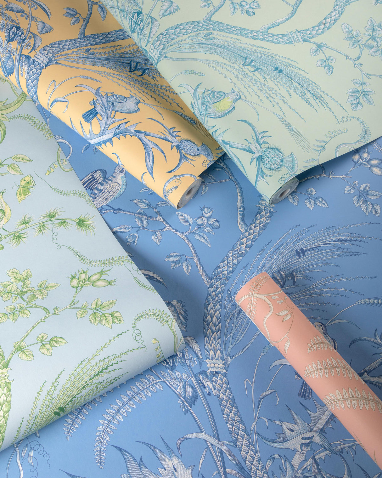 Brunschwig & Fils BIRD AND THISTLE II PEACH Wallpaper