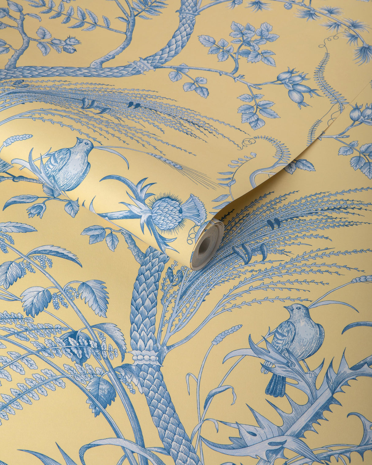 Brunschwig & Fils BIRD AND THISTLE II SUN Wallpaper
