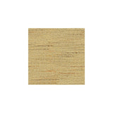 Baker Lifestyle SATARA CAMEL Fabric