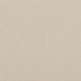 Baker Lifestyle CARNIVAL PLAIN OATMEAL Fabric