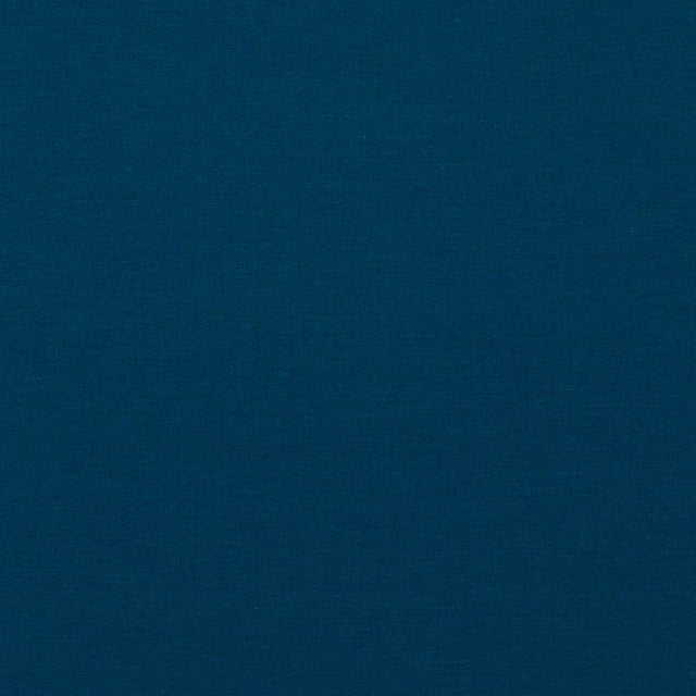 Baker Lifestyle PAVILION INDIGO Fabric