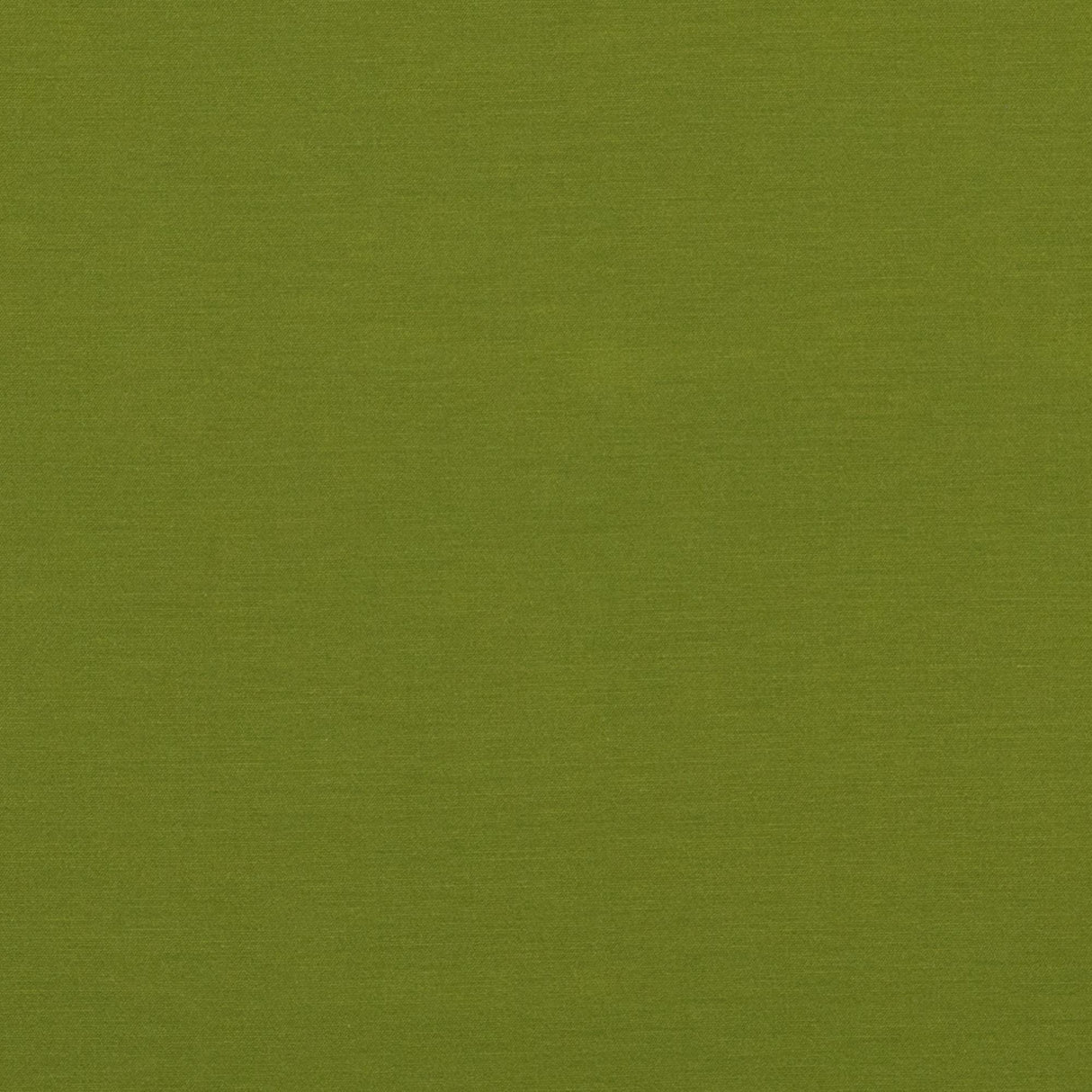 Baker Lifestyle PAVILION SPRING Fabric