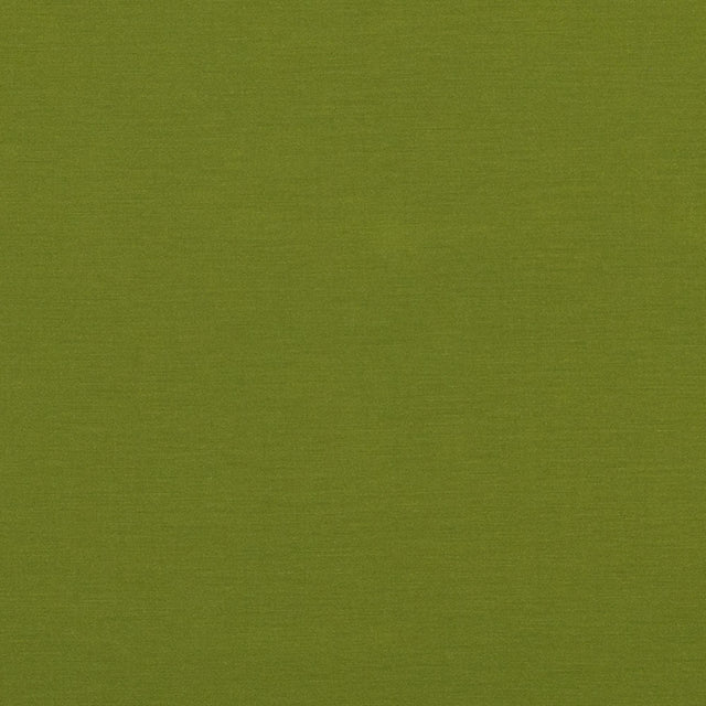 Baker Lifestyle PAVILION SPRING Fabric