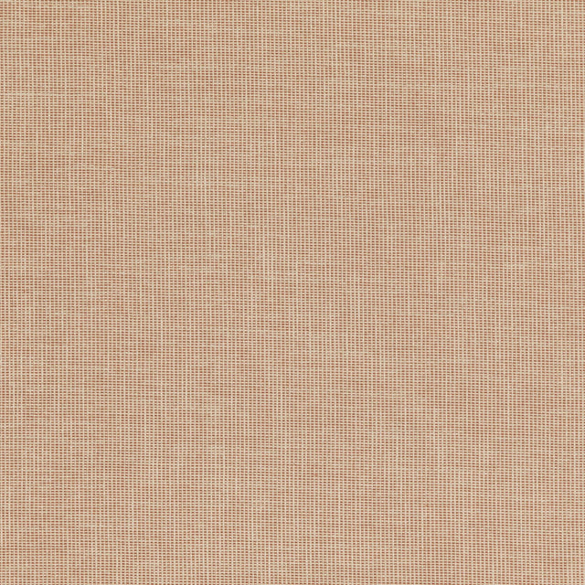 Baker Lifestyle FOLLY SPICE Upholstery Fabric